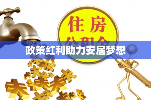 申扎政策红利助力安居梦想
