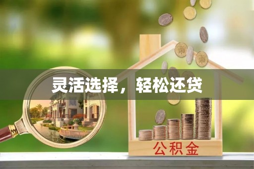 申扎灵活选择，轻松还贷