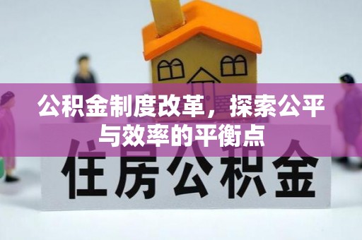 申扎公积金制度改革，探索公平与效率的平衡点
