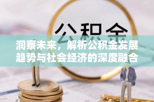 申扎洞察未来，解析公积金发展趋势与社会经济的深度融合