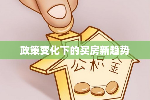 申扎政策变化下的买房新趋势