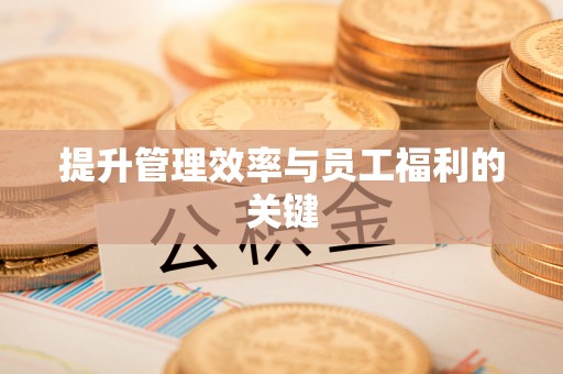 申扎提升管理效率与员工福利的关键