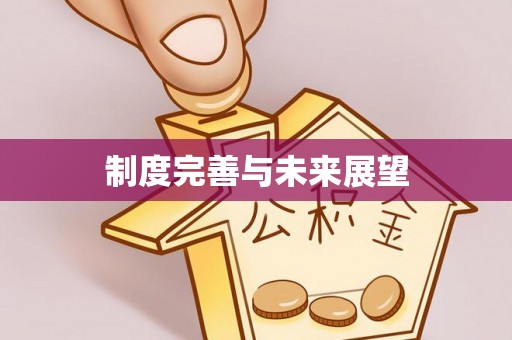 申扎制度完善与未来展望