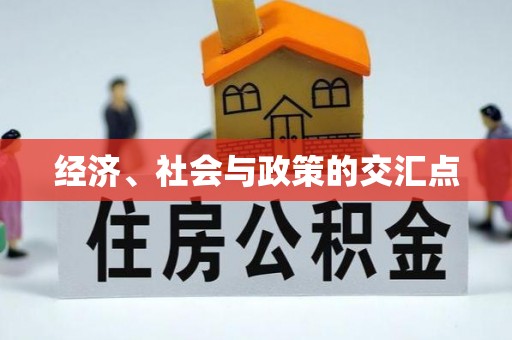 申扎经济、社会与政策的交汇点
