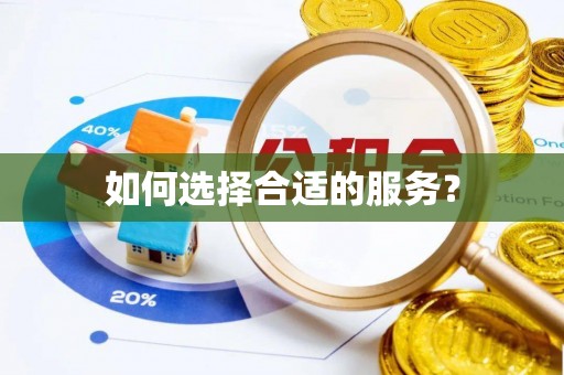 申扎如何选择合适的服务？