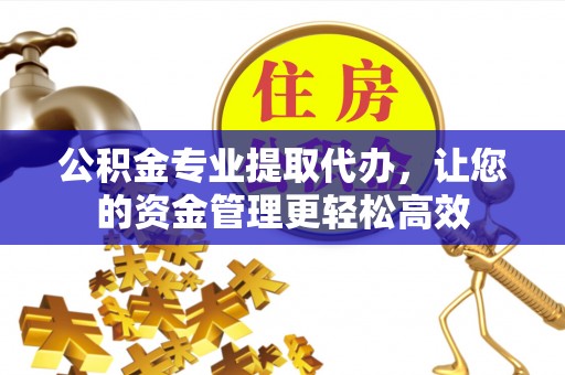 申扎公积金专业提取代办，让您的资金管理更轻松高效