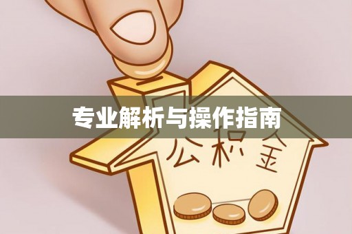 申扎专业解析与操作指南