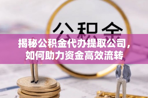 申扎揭秘公积金代办提取公司，如何助力资金高效流转