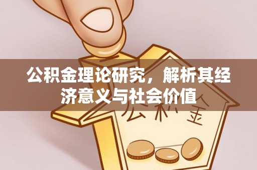 申扎公积金理论研究，解析其经济意义与社会价值