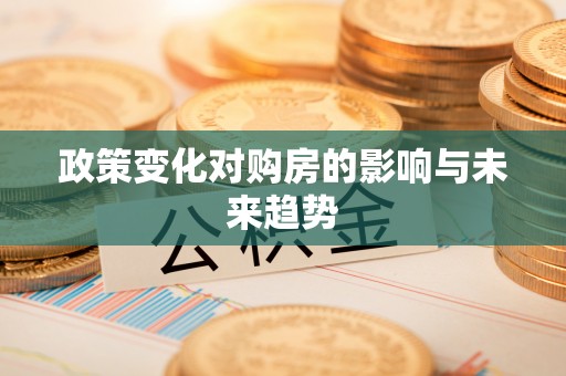 申扎政策变化对购房的影响与未来趋势