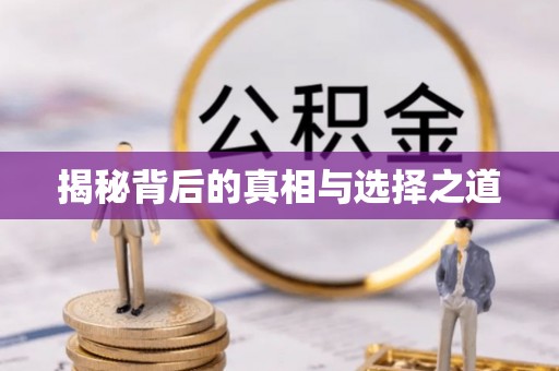 申扎揭秘背后的真相与选择之道