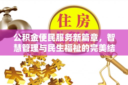 申扎公积金便民服务新篇章，智慧管理与民生福祉的完美结合