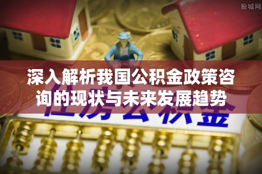 申扎深入解析我国公积金政策咨询的现状与未来发展趋势
