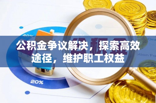 申扎公积金争议解决，探索高效途径，维护职工权益