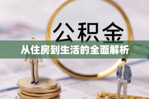 申扎从住房到生活的全面解析