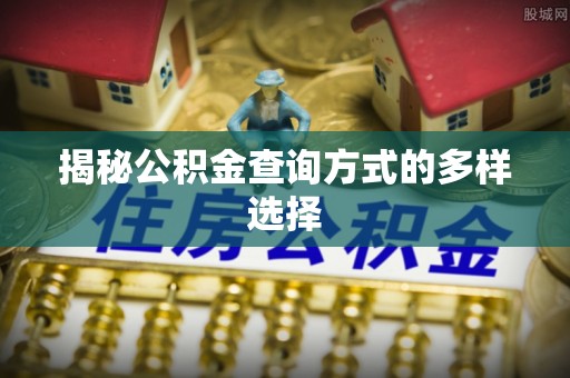 申扎揭秘公积金查询方式的多样选择