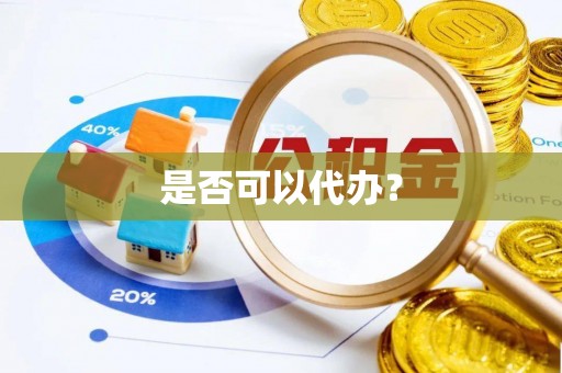 申扎是否可以代办？