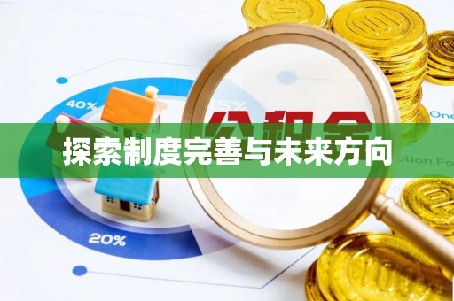 申扎探索制度完善与未来方向