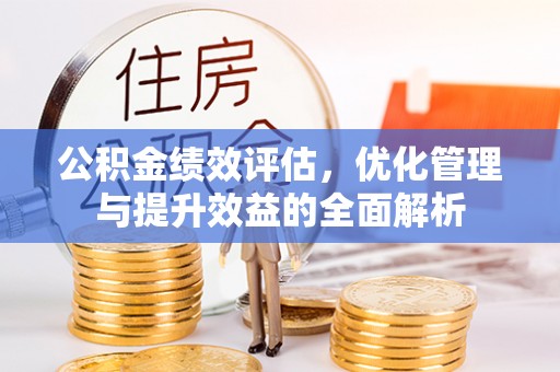 申扎公积金绩效评估，优化管理与提升效益的全面解析