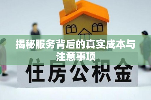 申扎揭秘服务背后的真实成本与注意事项