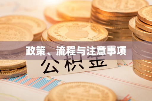 申扎政策、流程与注意事项