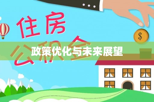 申扎政策优化与未来展望
