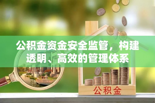 申扎公积金资金安全监管，构建透明、高效的管理体系