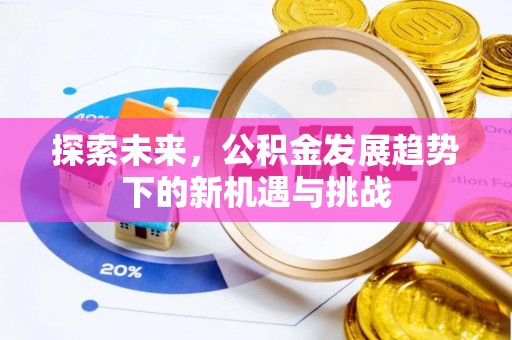 申扎探索未来，公积金发展趋势下的新机遇与挑战