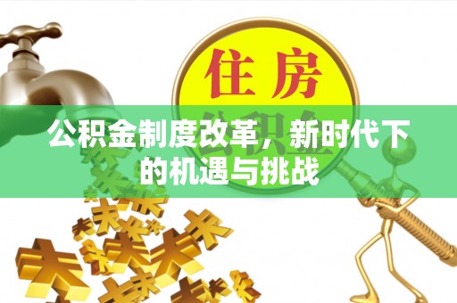 申扎公积金制度改革，新时代下的机遇与挑战