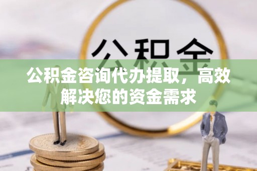 申扎公积金咨询代办提取，高效解决您的资金需求