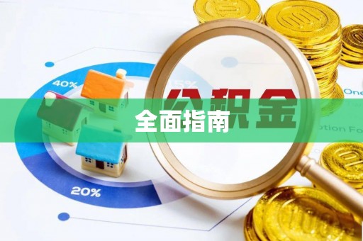 申扎全面指南