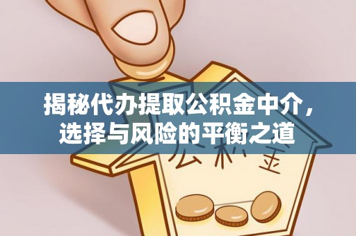 申扎揭秘代办提取公积金中介，选择与风险的平衡之道