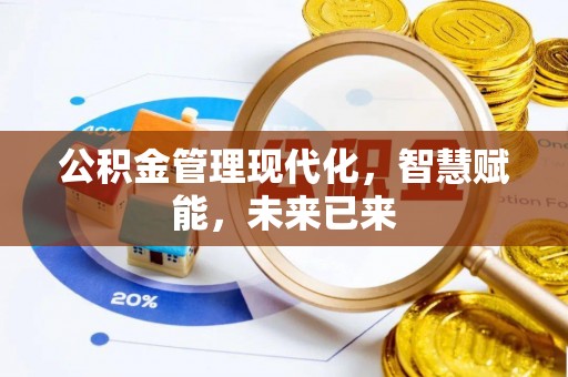 申扎公积金管理现代化，智慧赋能，未来已来