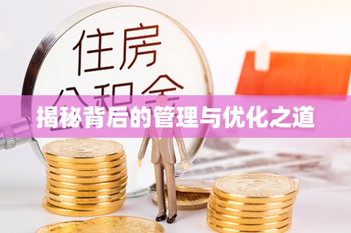 申扎揭秘背后的管理与优化之道