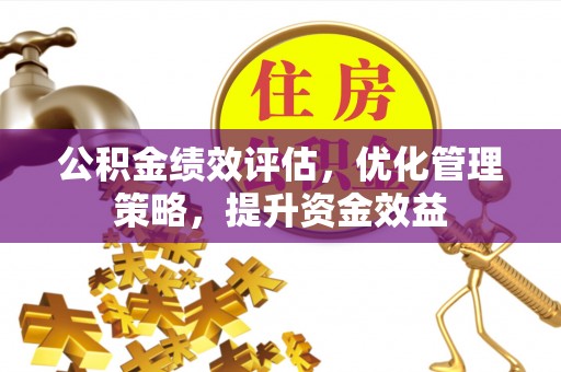 申扎公积金绩效评估，优化管理策略，提升资金效益