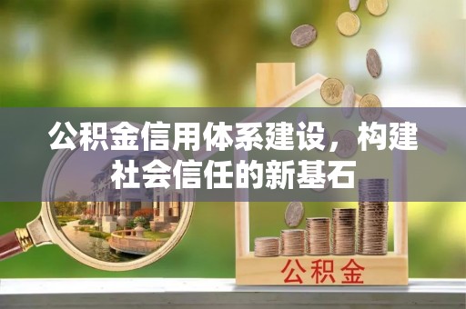 申扎公积金信用体系建设，构建社会信任的新基石