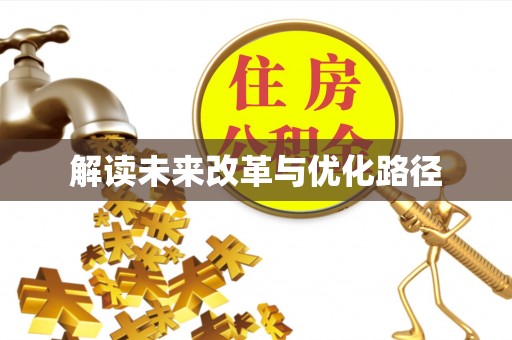 申扎解读未来改革与优化路径