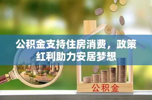 申扎公积金支持住房消费，政策红利助力安居梦想