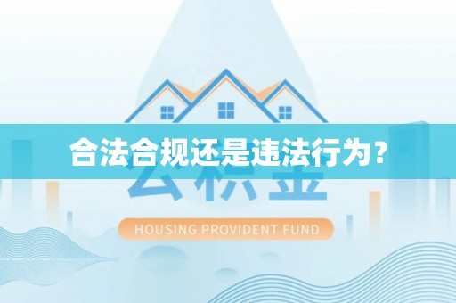 申扎合法合规还是违法行为？