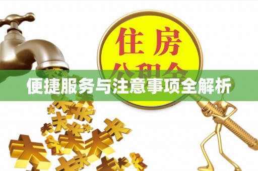 申扎便捷服务与注意事项全解析