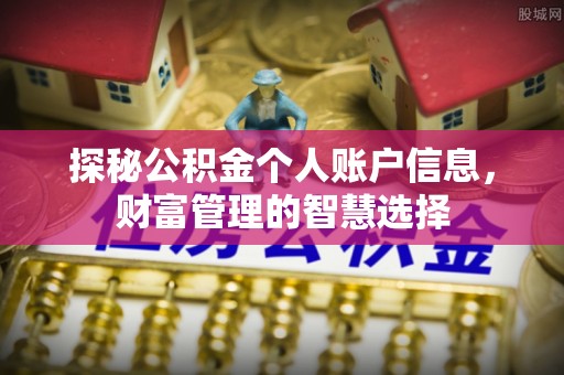 申扎探秘公积金个人账户信息，财富管理的智慧选择