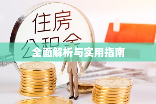 申扎全面解析与实用指南
