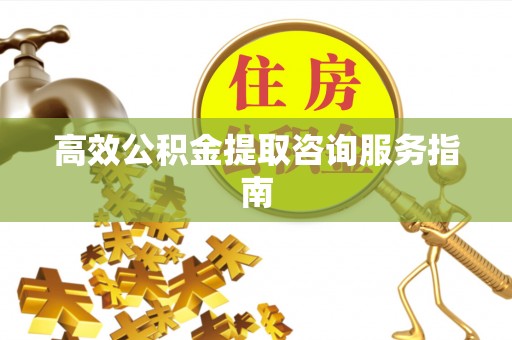 申扎高效公积金提取咨询服务指南
