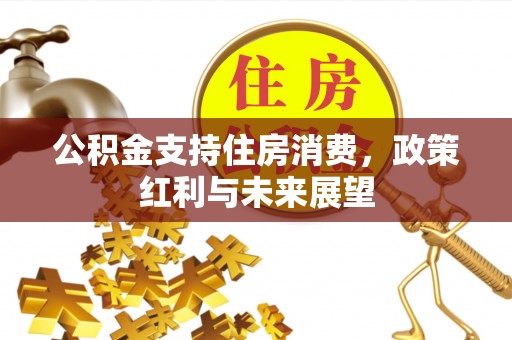 申扎公积金支持住房消费，政策红利与未来展望