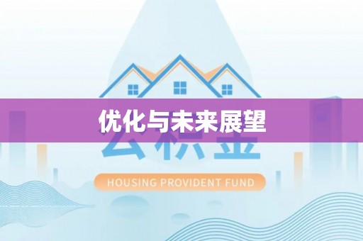 申扎优化与未来展望