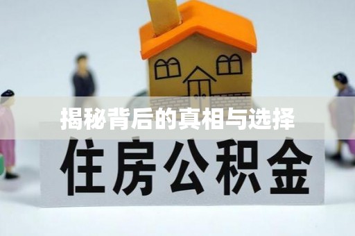 申扎揭秘背后的真相与选择