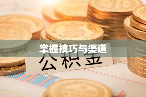 申扎掌握技巧与渠道