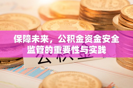 申扎保障未来，公积金资金安全监管的重要性与实践