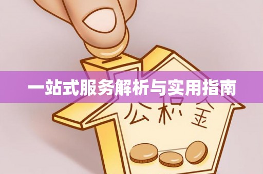 申扎一站式服务解析与实用指南