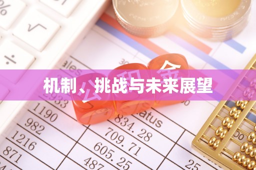 申扎机制、挑战与未来展望